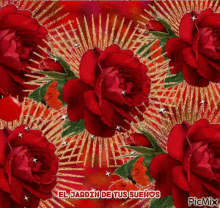 rosas roses flowers sparkle el jardin de tus suenos