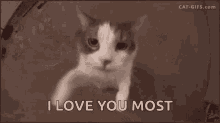 Love You Most GIF - Love You Most GIFs