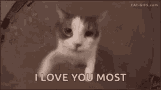 Love You Most GIF - Love You Most GIFs