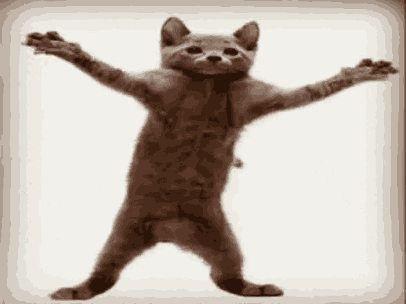 happy dancing cat gif