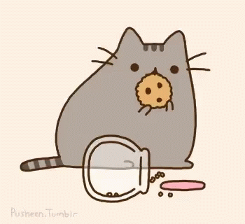 Cat Katt GIF - Katt Cookies - Discover & GIFs