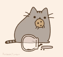 Cat Katt GIF - Cat Katt Cookies GIFs