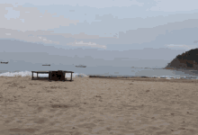 Beach Chill GIF