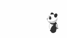 Pandita Rodando GIF - Panda Pandita GIFs