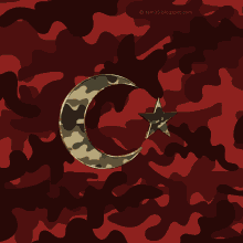 Ay Yıldız Asker GIF - Ay Yıldız Asker Türk Bayrağı GIFs