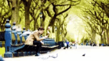 a person sitting on a bench in a park looking at their phone