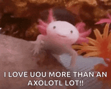 Axolot Cute GIF - Axolot Cute Smile GIFs