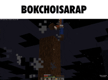 a screenshot of a video game with the words bokchoisarap above it