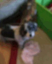 a blurry picture of a person holding a gun