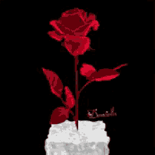 Rose Cube GIF - Rose Cube GIFs