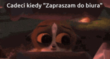 a close up of a cartoon cat with the words cadeci kiedy " zapraszam do biura " below it