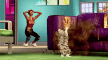 Cat Problems - The Sims GIF - The Sims Sims Cat GIFs