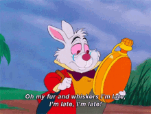 Me In The Mornings GIF - Alice In Wonderland Im Late Rabbit GIFs
