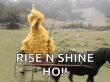 big bird is pulling a horse drawn carriage with the words rise n shine ho