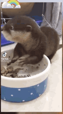 Otter Yummy GIF