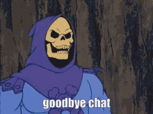 Heman Masters Universe Skeletor Mirror Goodbye Chat GIF - Heman Masters Universe Skeletor Mirror Goodbye Chat GIFs
