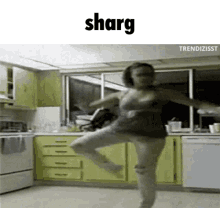 Sharg Spin GIF - Sharg Spin Fall GIFs