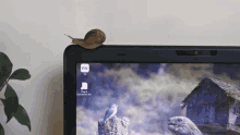 Escargot Pc GIF - Escargot Pc Snail GIFs