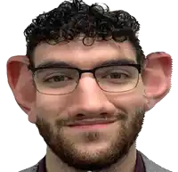 a man wearing glasses and a fake ear is smiling .