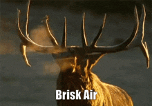 Brisk Air GIF - Brisk Air GIFs