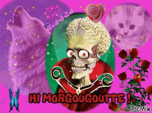 Morgougoutte Hi GIF - Morgougoutte Hi Himorgougoutte GIFs