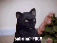 Sabrina Pog Sabrina GIF - Sabrina Pog Sabrina Sabrina Is Pog GIFs