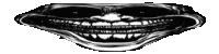 a black and white image of a skeleton 's face with a big smile on it .