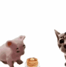 a pink cat is standing next to a large piece of bread that says pan on it
