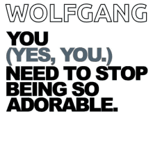 Quote Adorable GIF - Quote Adorable Wolfgang GIFs
