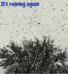 Raining Again Rain On Window GIF - Raining Again Rain On Window Humanharvest407 GIFs
