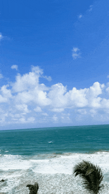 a palm tree is blowing in the wind in front of a large body of water