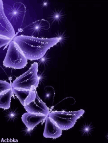 Butterflies Sparkle GIF - Butterflies Sparkle Purple GIFs