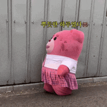 a pink teddy bear wearing a skirt is standing in front of a wall