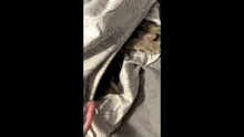 a blanket with a floral pattern on it