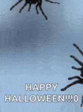 Spiders Creepy Pictures GIF - Spiders Spider Creepy Pictures GIFs