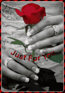Neked Just For You GIF - Neked Just For You Rose GIFs