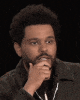 a man with a beard holds his hand to his chin and looks at the camera