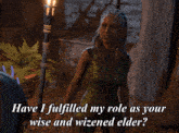 have i fulfilled my role as your wise and wizened elder jaheira druid elder elf