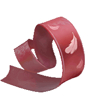 a red ribbon with a pink feather on the bottom