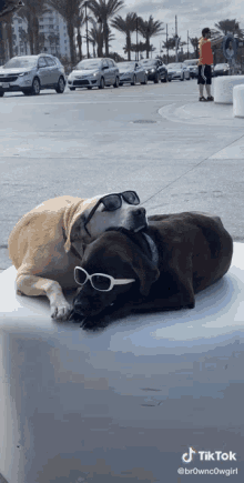 Shades On Chilling GIF - Shades On Chilling Like A Boss GIFs