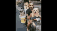 Kollam Kottayam Combo Dogs GIF