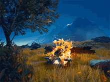 Fire Nature GIF - Fire Nature Fire Place GIFs