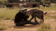 Petting A Hyena Dean Schneider GIF - Petting A Hyena Dean Schneider Playing With A Hyena GIFs