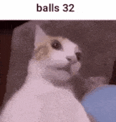 Balls Balls 32 GIF