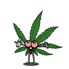 cannabis hippie