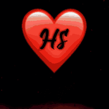 Hs Love You GIF