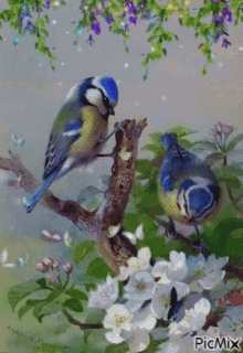 Happy Spring Birds GIF - Happy Spring Birds GIFs