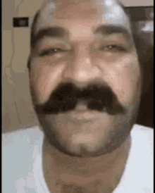 Lebanese Moustache GIF - Lebanese Moustache GIFs