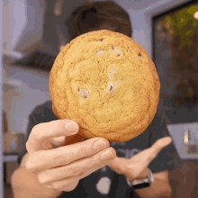 Check Out This Cookie Raphael Gomes GIF - Check Out This Cookie Raphael Gomes Raphaelgomesx GIFs