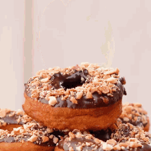 a chocolate covered donut with nuts on top